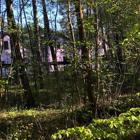Lawendowe Domki Miedzywodzie Esterno foto