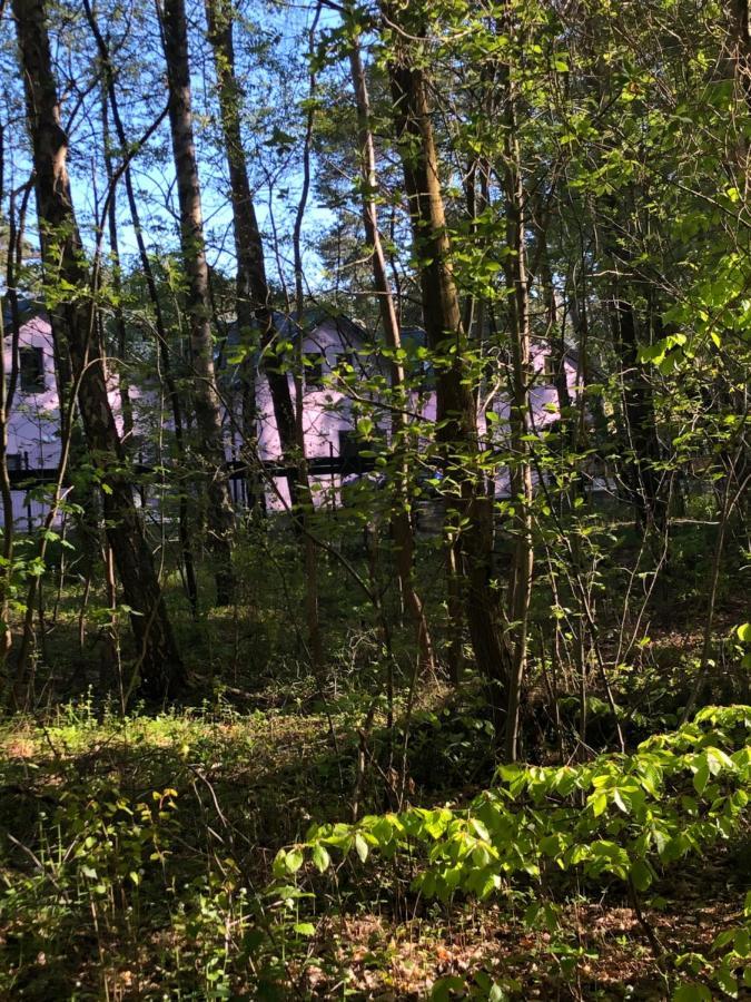 Lawendowe Domki Miedzywodzie Esterno foto